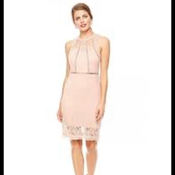 bebe Dresses & Skirts - Bebe Body-con Lace Dress Blush Size 6